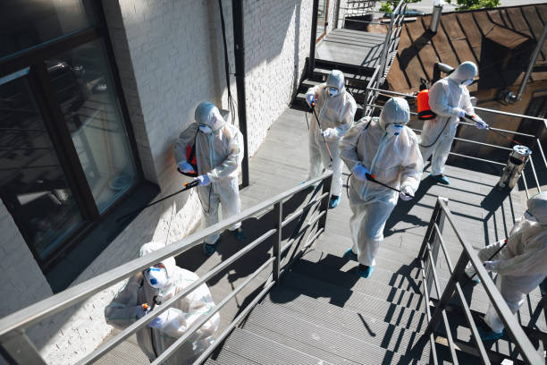 Best Airborne Mold Testing  in Closter, NJ
