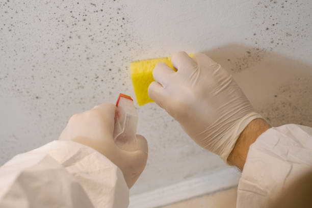 Biohazard Mold Removal in Closter, NJ