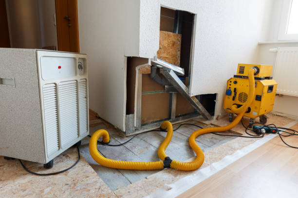 Best Water Damage & Mold Remediation  in Closter, NJ